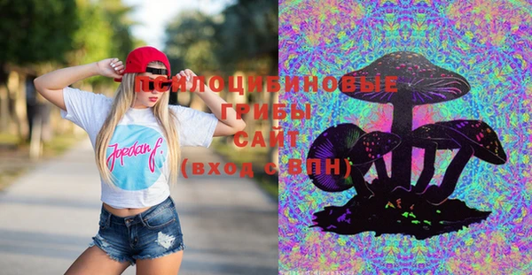дмт Армянск