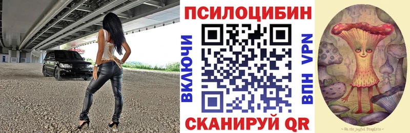 OMG сайт  где купить наркотик  Полярные Зори  Галлюциногенные грибы Psilocybe 